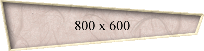 800 x 600
