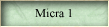 Micra 1