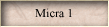 Micra 1